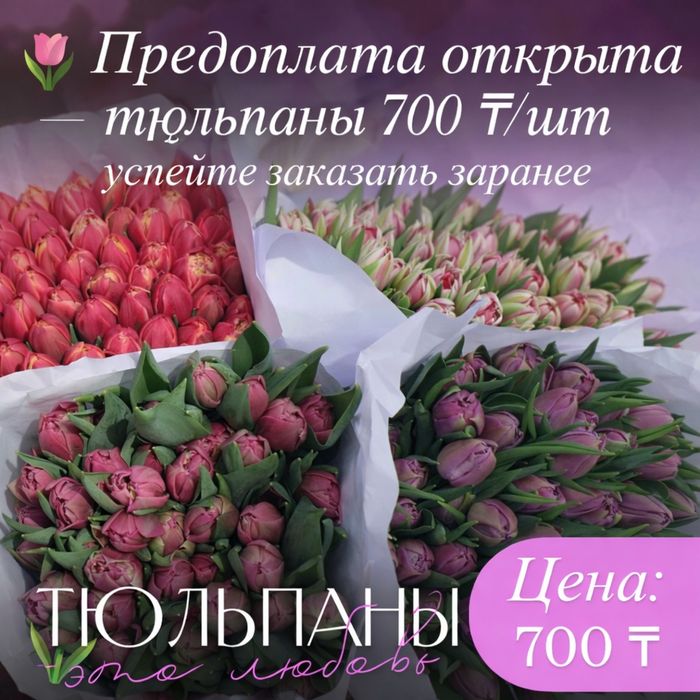 Тюльпаны по предзаказу!