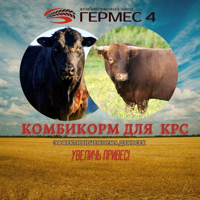 Комбикорм для всех направлений