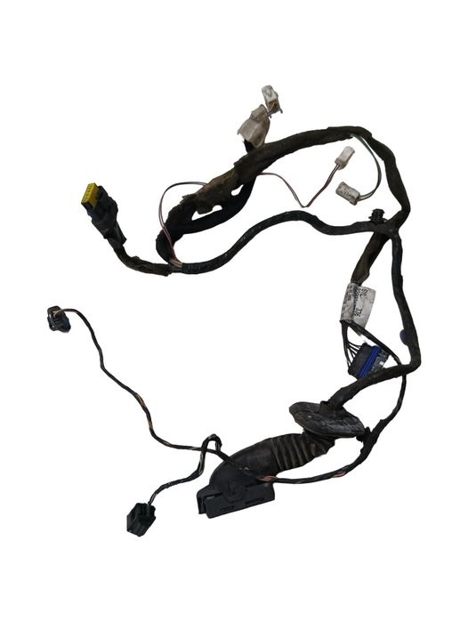 Instalatie Electrica Usa Dreapta Spate Renault Megane Ii Bm0/1_, Cm0/