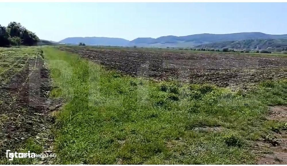 Teren agricol de vanzare 25 ari, zona Sieu Magherus