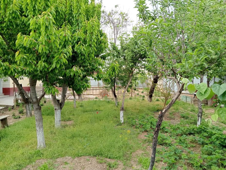 Сарыағаш қаласында үй сатылады