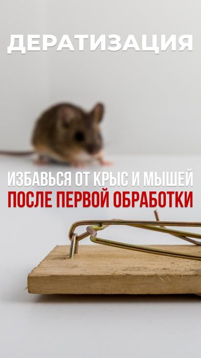 Дезинфекция тараканов муравьев клопов блох муравьев