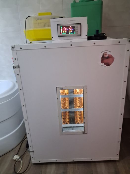 Incubator profesional 360 oua