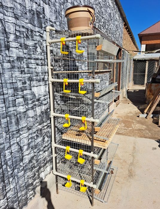Клетка для перепелов