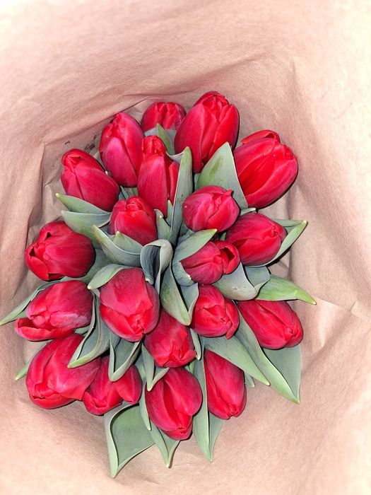 Тюльпаны оптом и в розницу на 8 марта