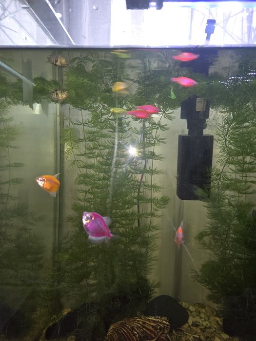 Продам аквариум 100 литров