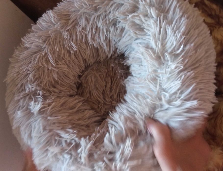 Легло за коте или куче