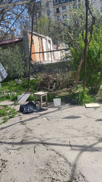 Тутовник и лозы винограда на дрова
