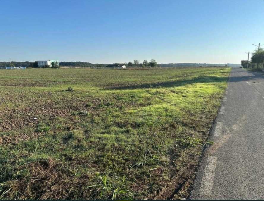 Teren Gradistea, 1000 mp