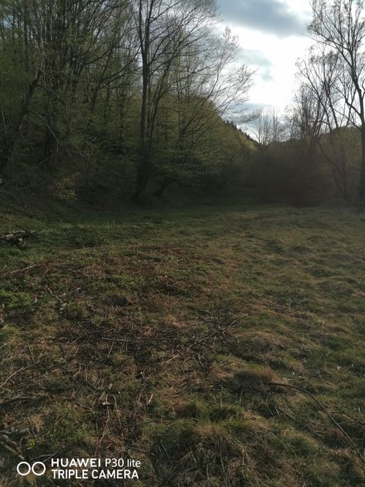 Teren ideal pentru casă de vacanță / retreat / investiție – 1 ha de liniște