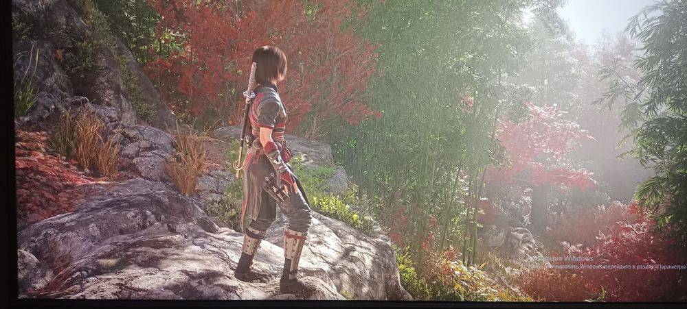 Монитор Ardor gaming