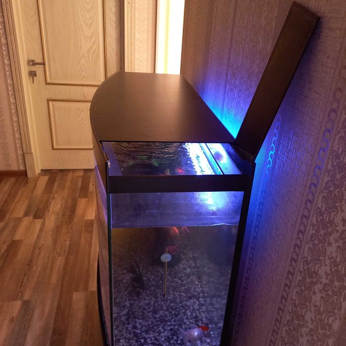 Akvarium  ichida 16 ta turli baliq va 2 xil kuchli filterlari bilan