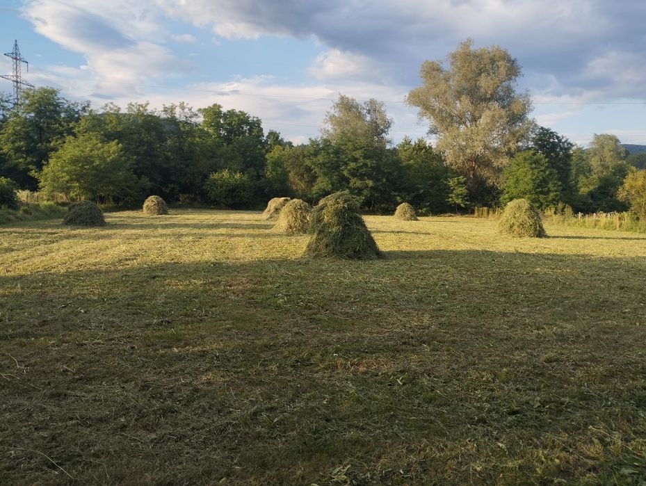 Se vinde fân, lucernă