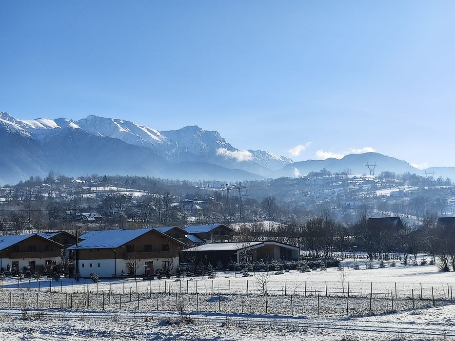 Apartament Alice & Denis -Regim hotelier