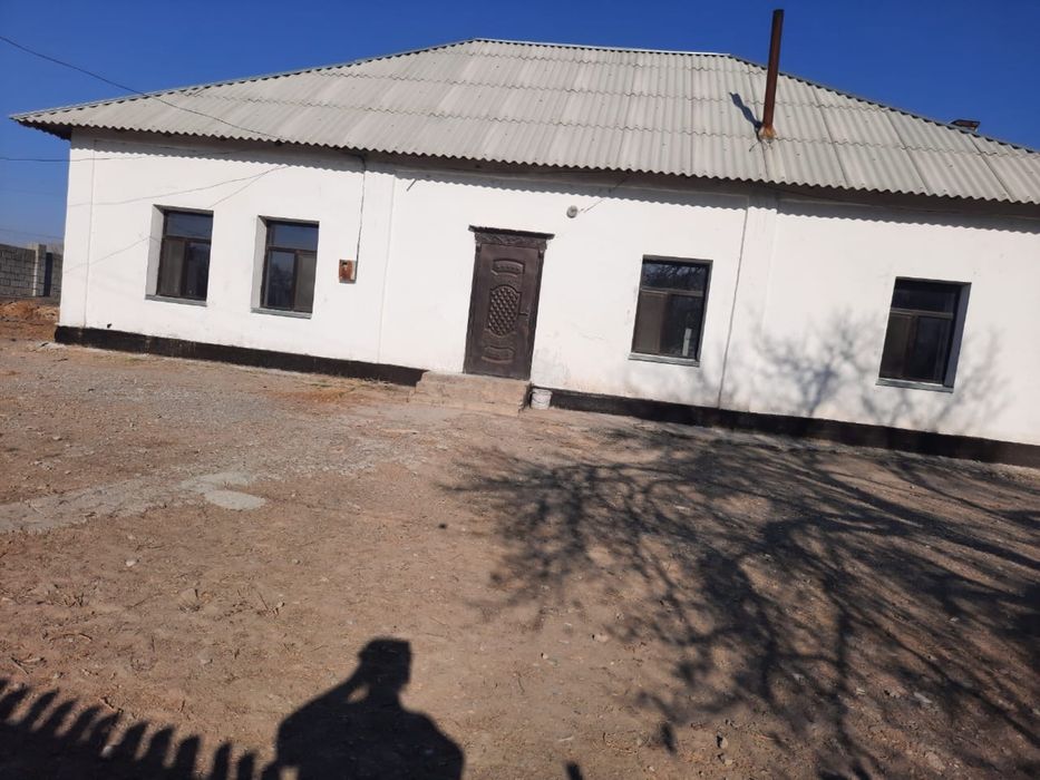 Уй сатылады. Шекербұлақ ауылы.