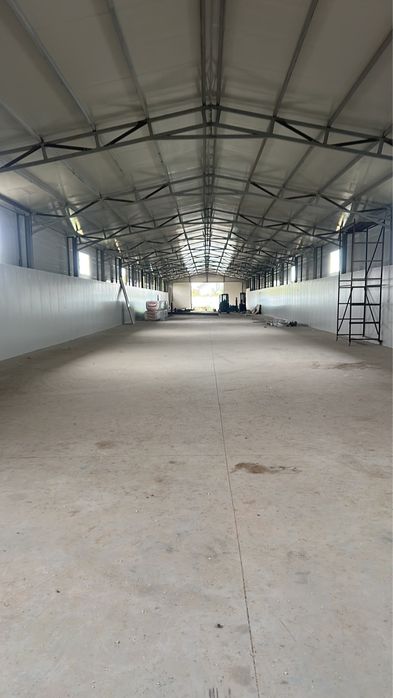 contecții metalice Porți Gardurı Balustrade hale Ivetalice