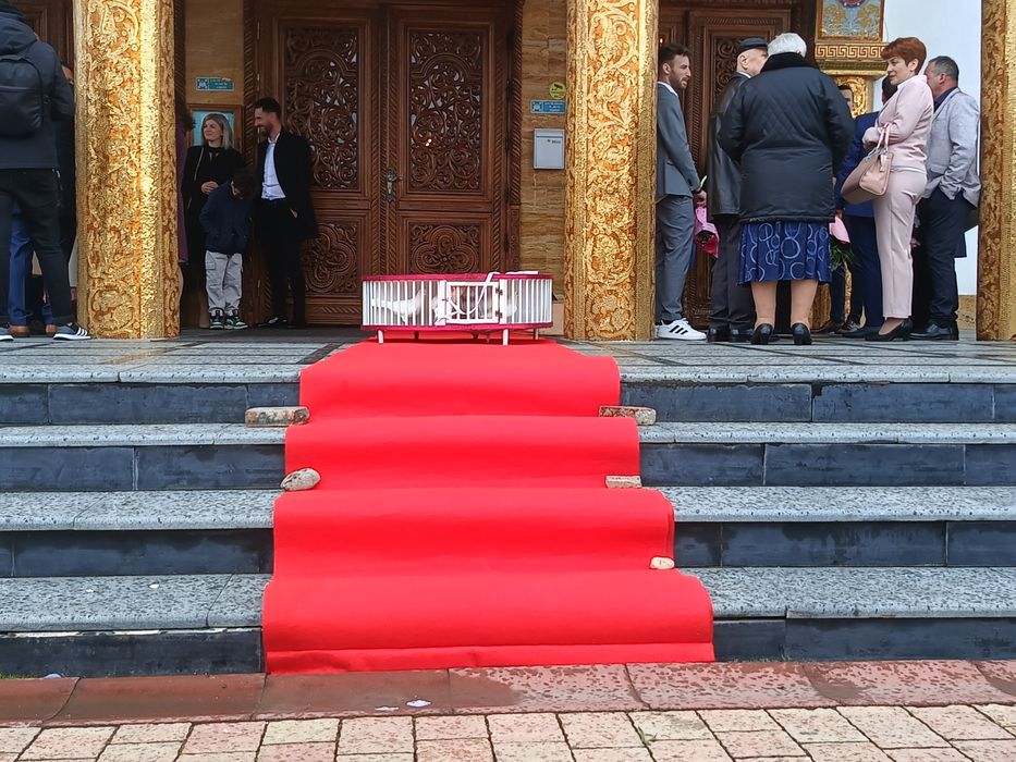 Pachet complet de decorațiuni și porumbei pentru evenimente speciale (