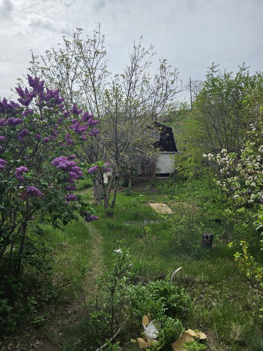 Продам уютную дачу Турар