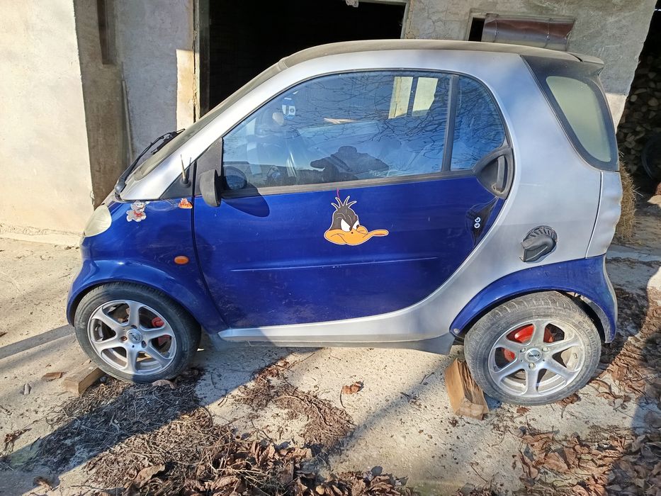 Smart                      .