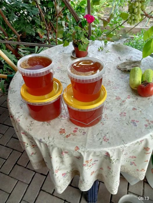 Мёд горное разнотравье