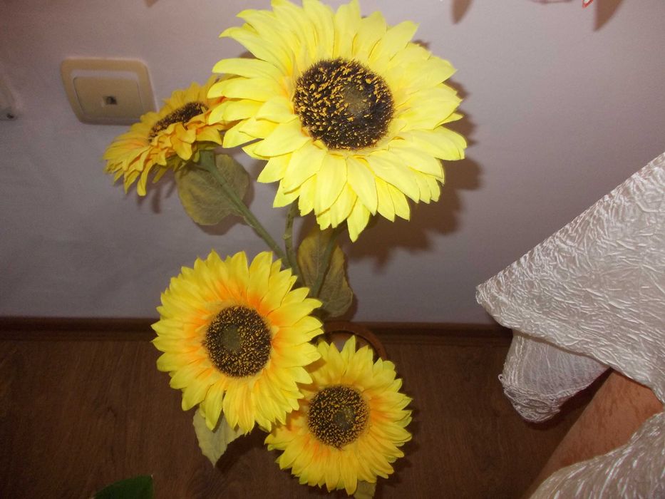 Nikon CoolPix L23    10.1 Мрх