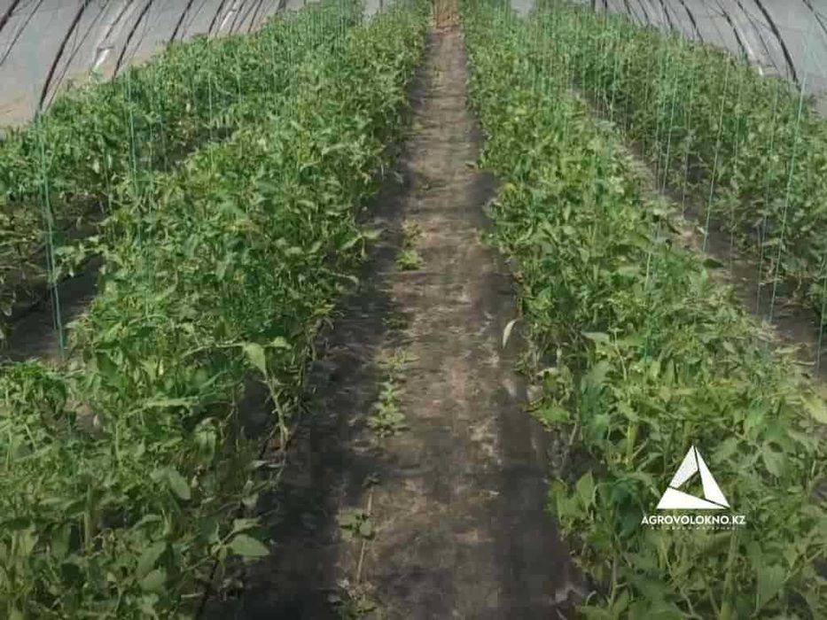 Черная агроткань 60ка Алматы