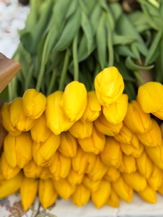 Цветы цветы  цветы