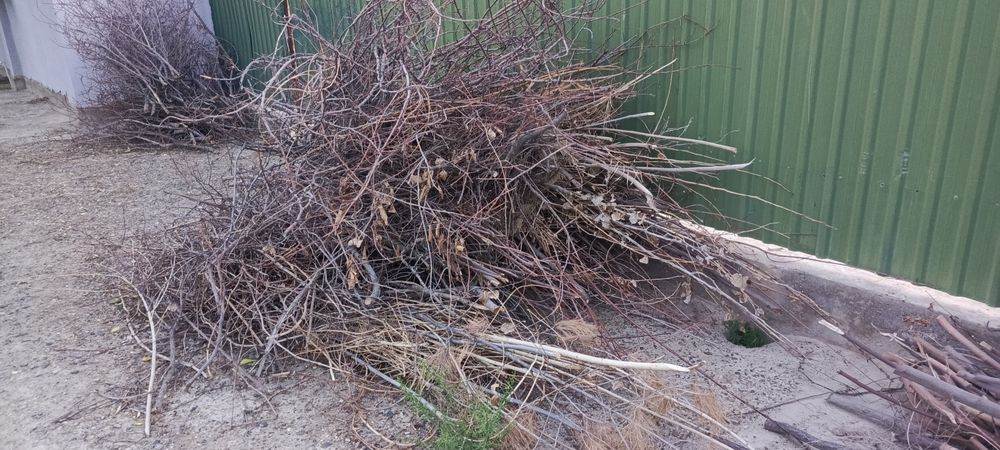 O'tin sotiladi hammasi 600.000