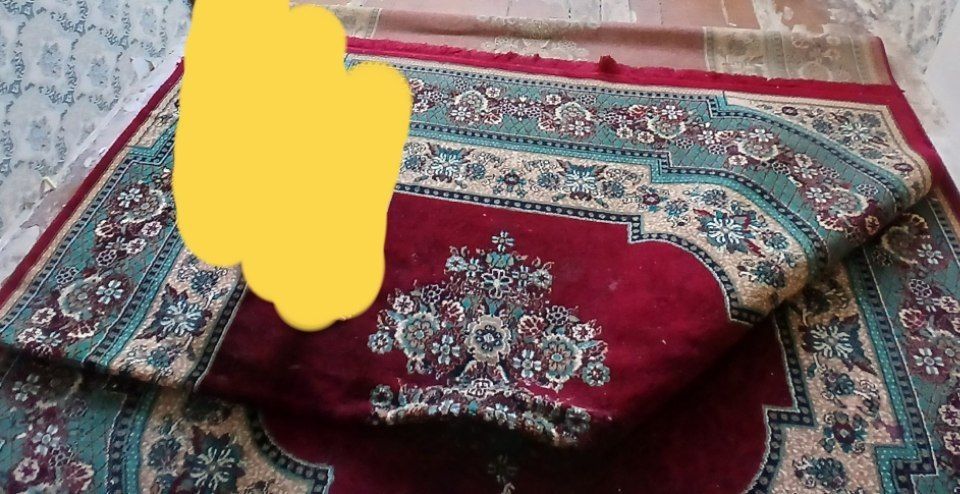 Gilam 2ga 5 sifati yaxshi