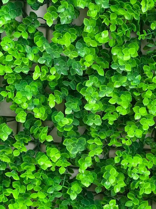 Декор для дома и офиса | Фитостена