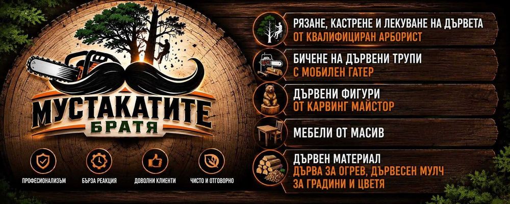 Рязане и кастрене на дървета | Сертифициран арборист | Алпинист | Мустакатите братя ЕООД