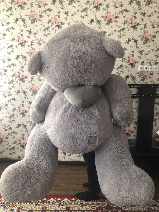 Srochno Teddy ayiq sotiladi