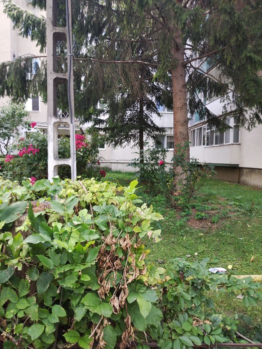 Vând apartament spațios cu 3 camere, 66 mp,etaj 3, zonă centrală Deva