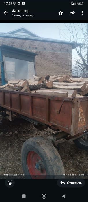 Утин бор енгок утини