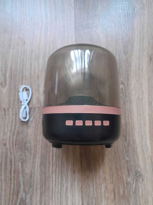 Big Diamond speaker, Портативная колонка