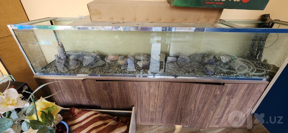 Akvariumlar  keng assortimentda