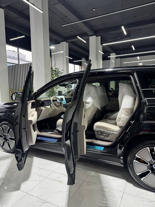 Denza n8L restayling