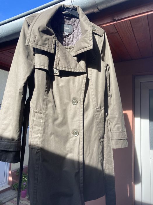 Parpalac toamna primava dama