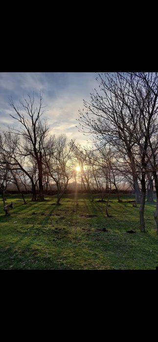 Продам участок 10 соток