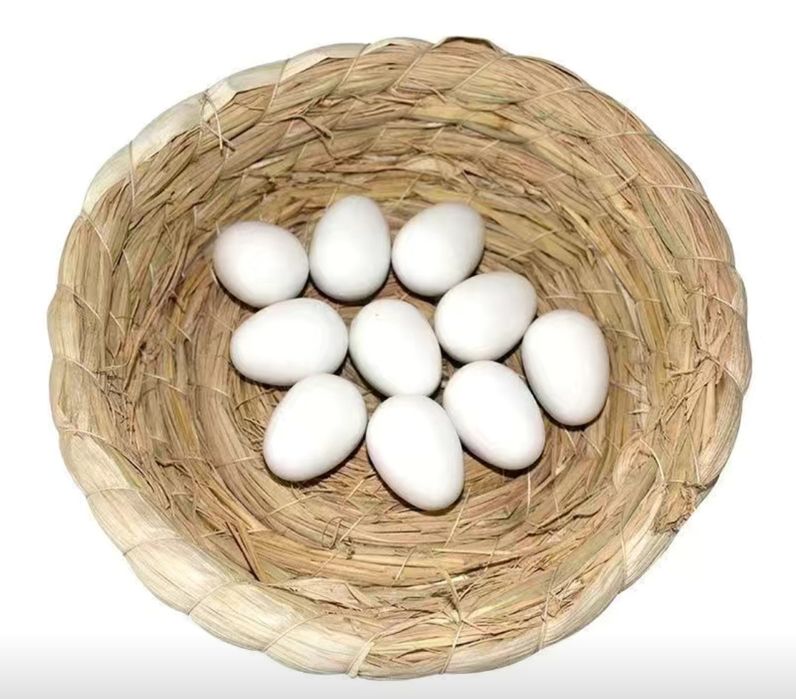 Всё для птиц и голубей