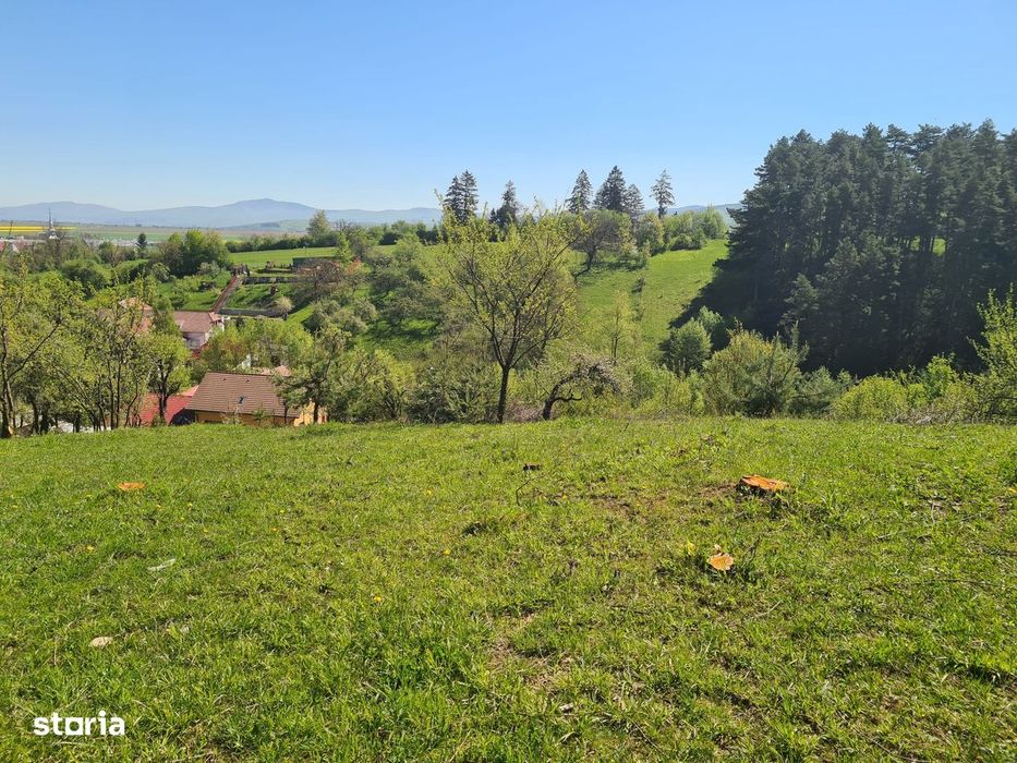 Teren deosebit - 1500 mp, Poiana Angelescu, Str. Livezii