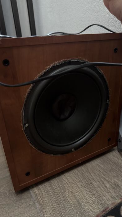 Subwoofer tonsil 10’