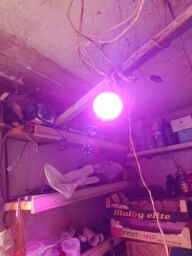 Лед лампа с 3 цвята-стимулира разтежа на  разстенията