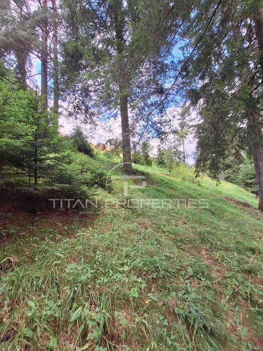 Парцел, с. Проглед