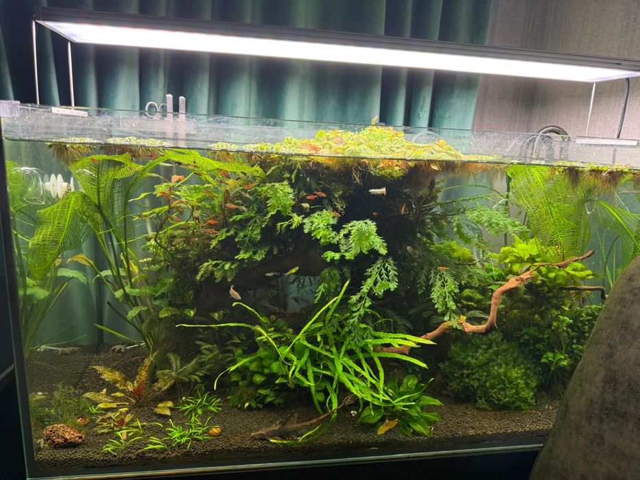 Продам аквариум (травник)