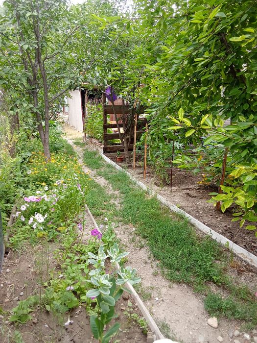 Продам дом барачного типа