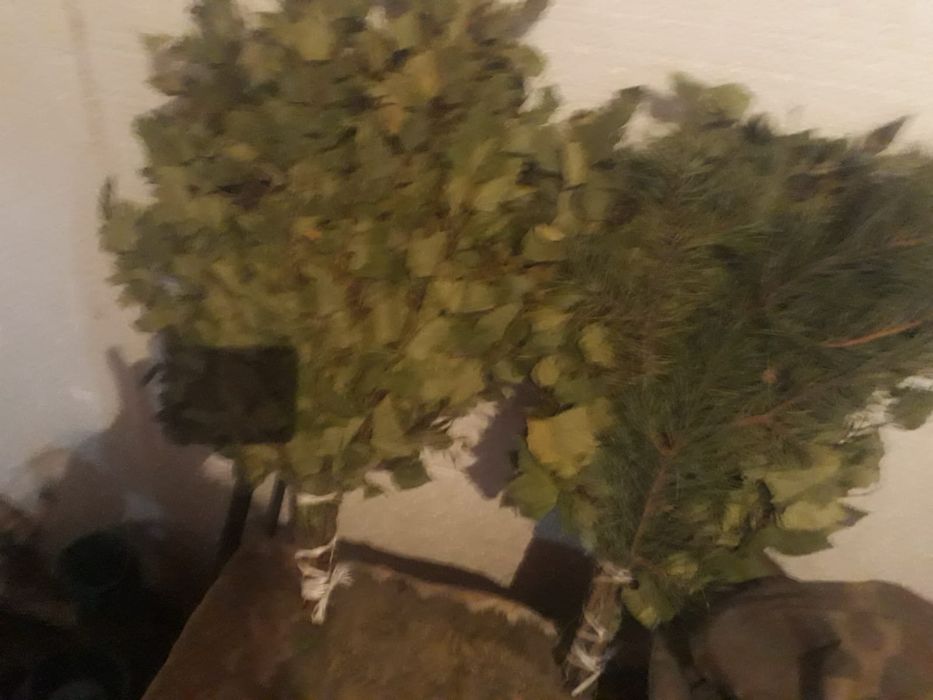 СРОЧНО!!! Продам веники березовые по 600тг. СРОЧНО!