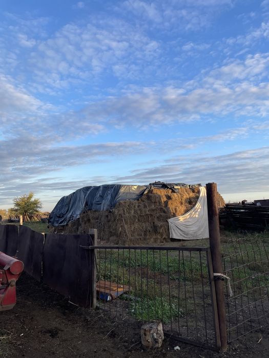 Продается дом Самарка