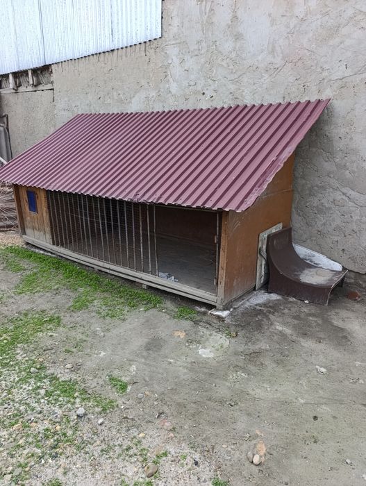 Товук ва кучук учун домик