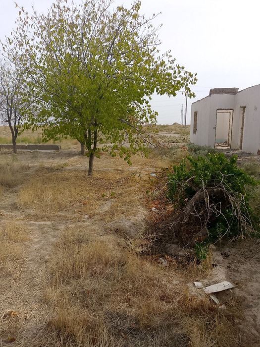 Ер майдони сотилади